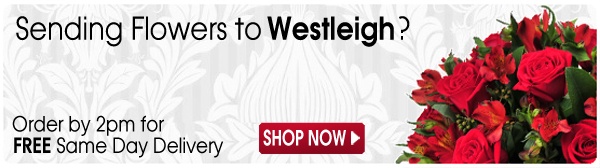 AAA Westleigh Suburb Landing Page Banner 600px.jpg